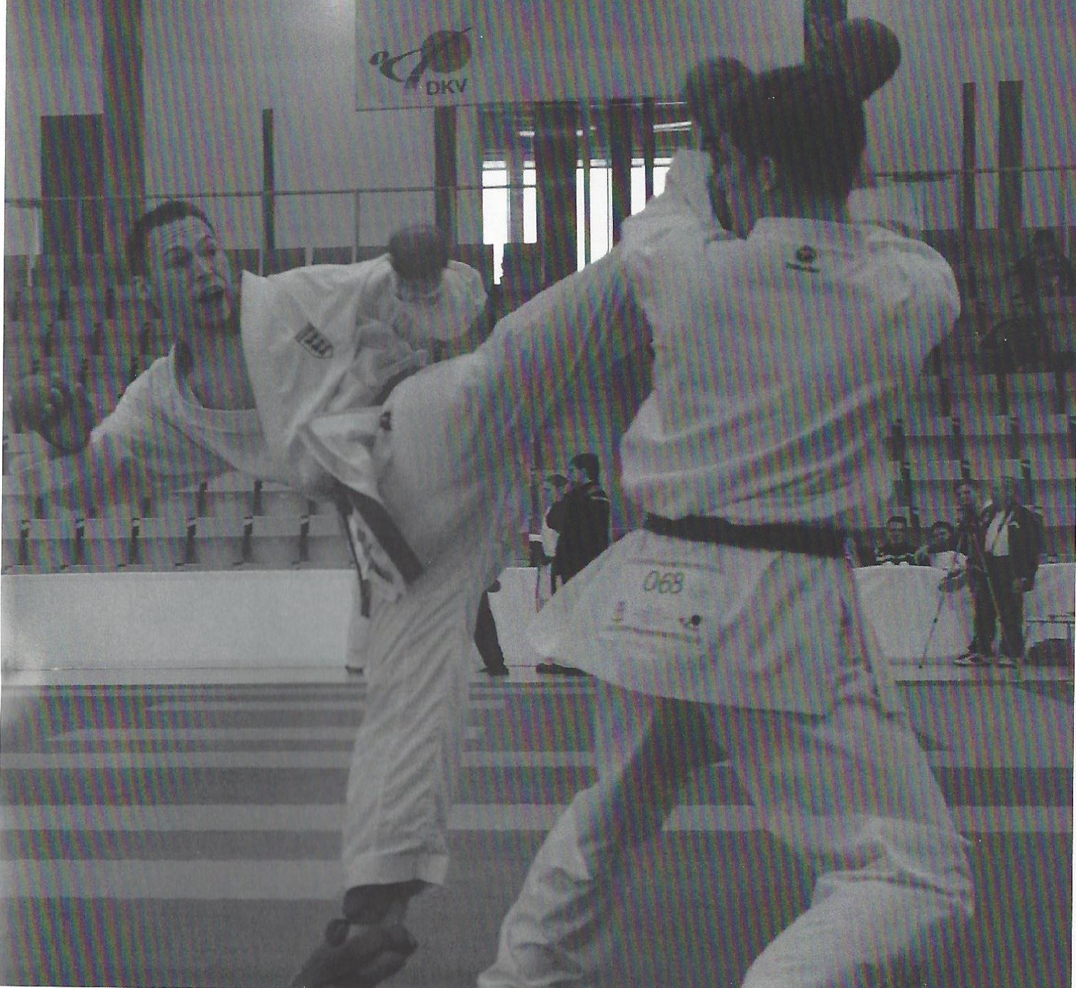Karate_BlogImages
